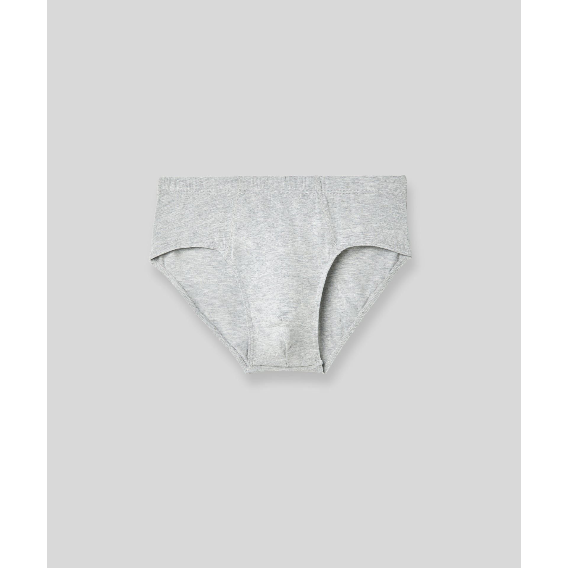 SilkCut Micro Modal Briefs - 4 Pack